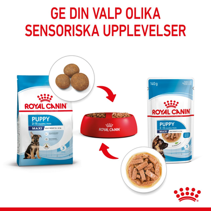 Royal Canin Maxi Puppy Våtfoder för hundvalp