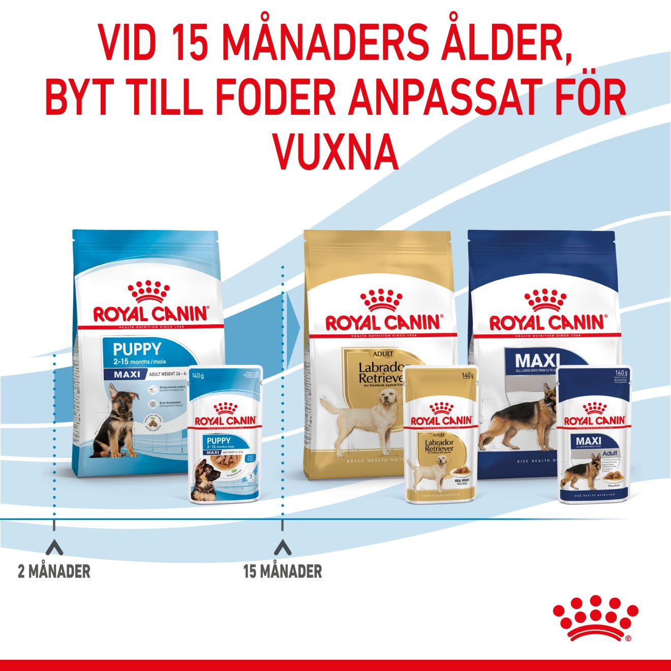 Royal Canin Maxi Puppy Våtfoder för hundvalp