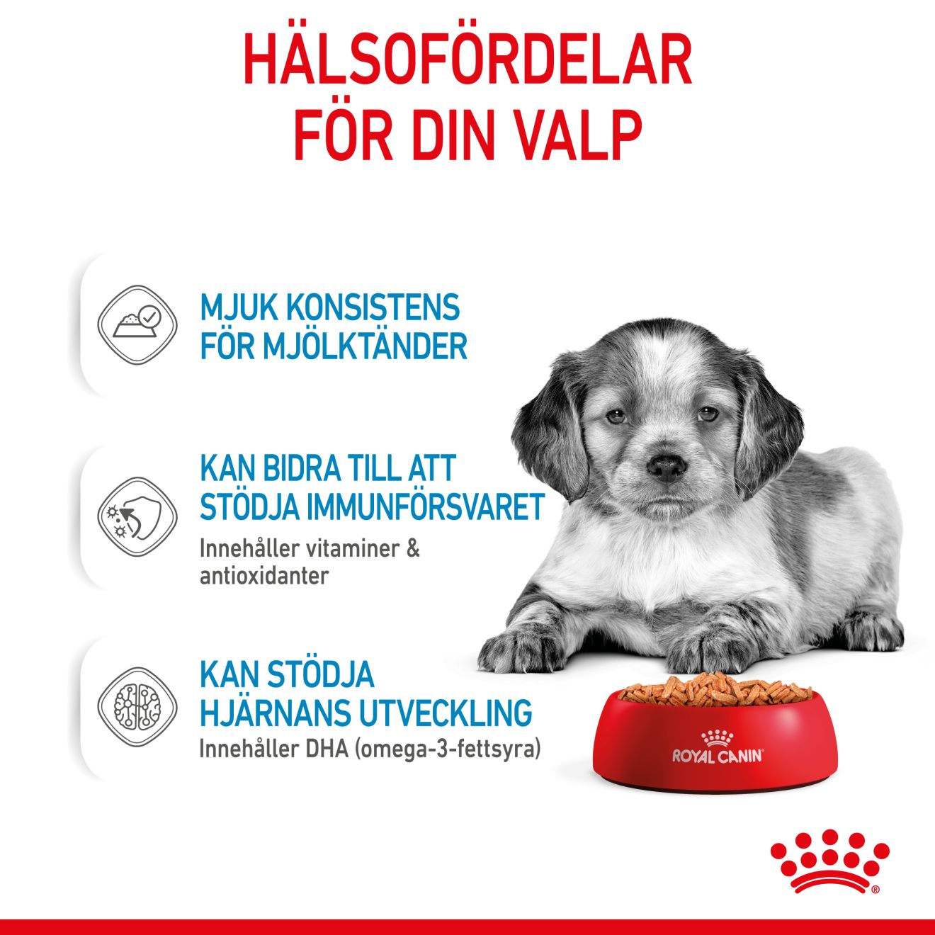 Royal Canin Medium Puppy Våtfoder för hundvalp