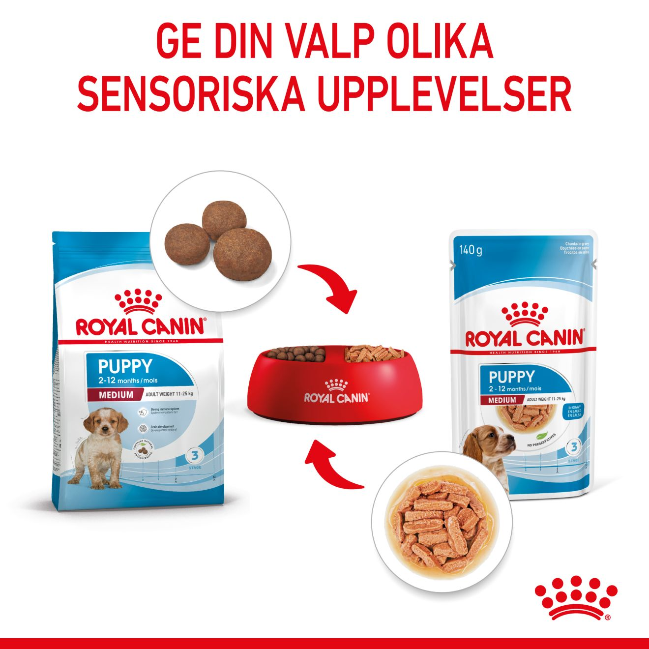 Royal Canin Medium Puppy Våtfoder för hundvalp