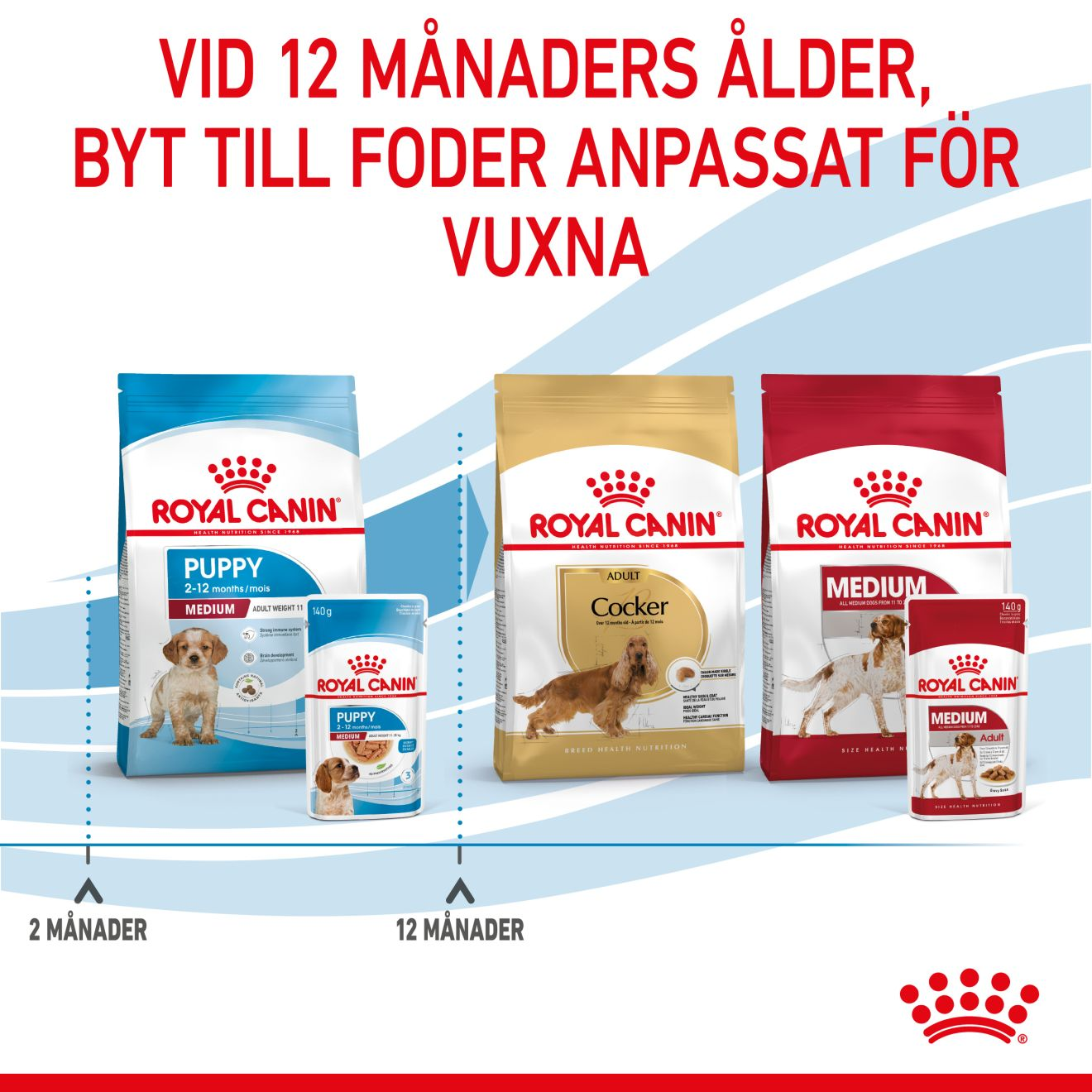 Royal Canin Medium Puppy Våtfoder för hundvalp