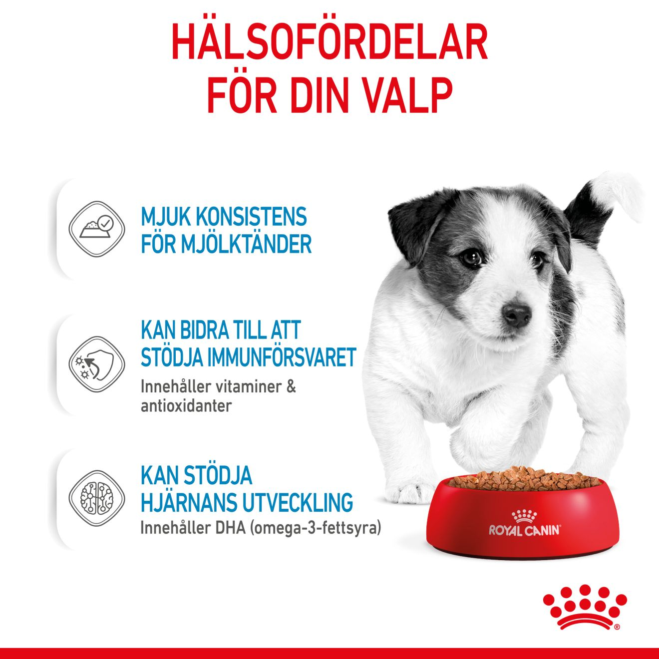 Royal Canin Mini Puppy Våtfoder för hundvalp