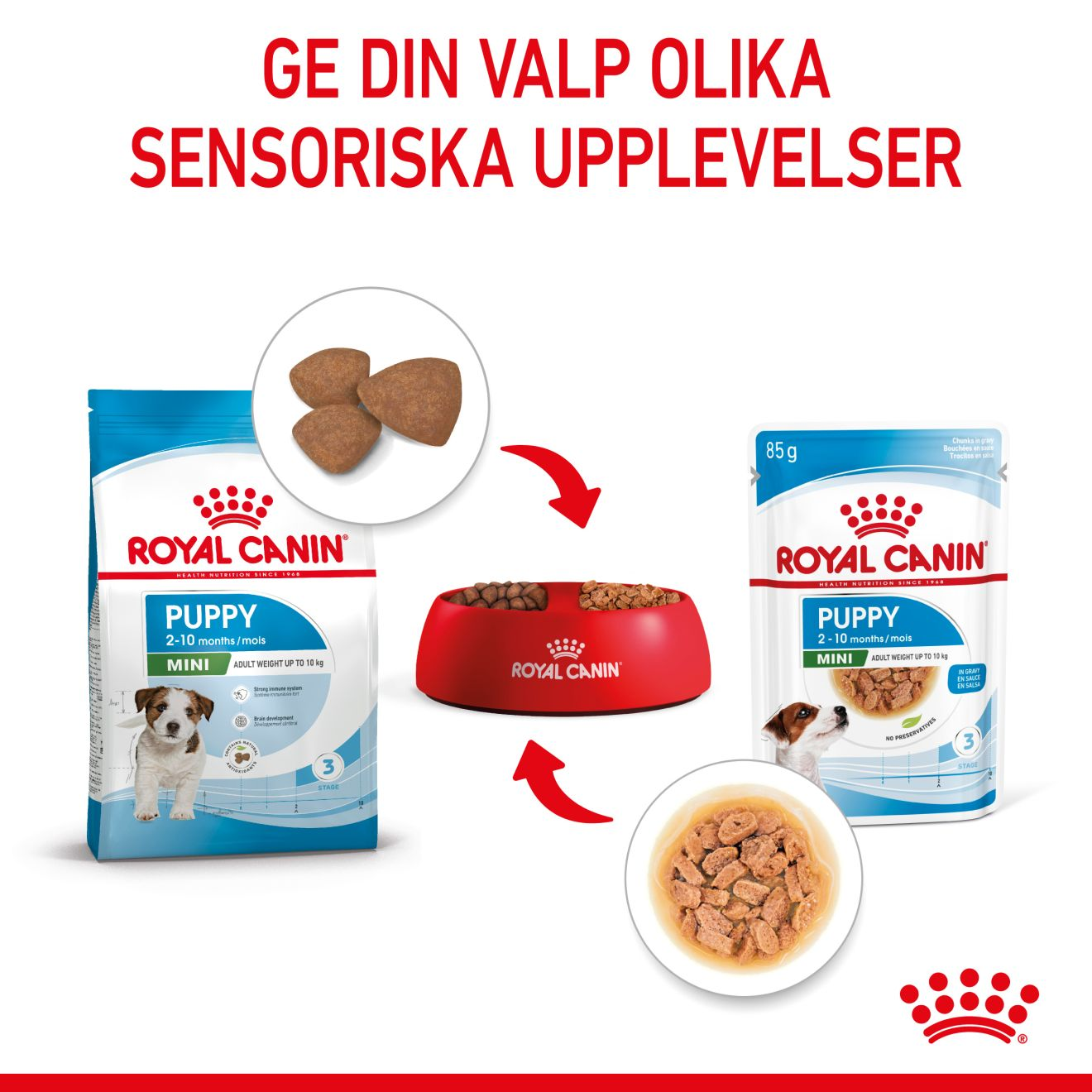 Royal Canin Mini Puppy Våtfoder för hundvalp