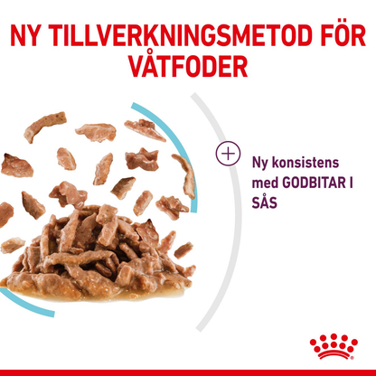 Royal Canin Sensory Feel Gravy Adult Våtfoder för katt