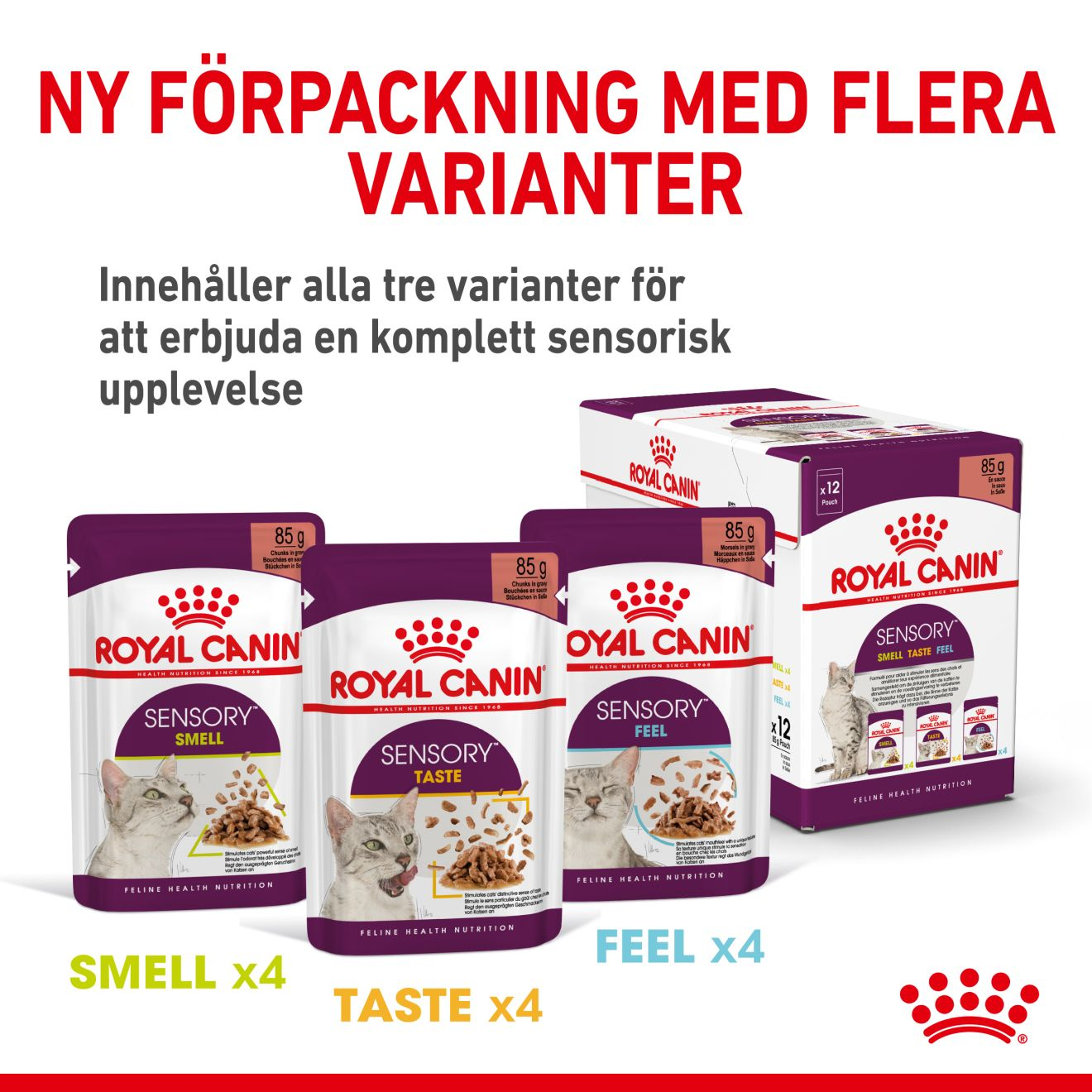 Royal Canin Sensory Smell Gravy Adult Våtfoder för katt