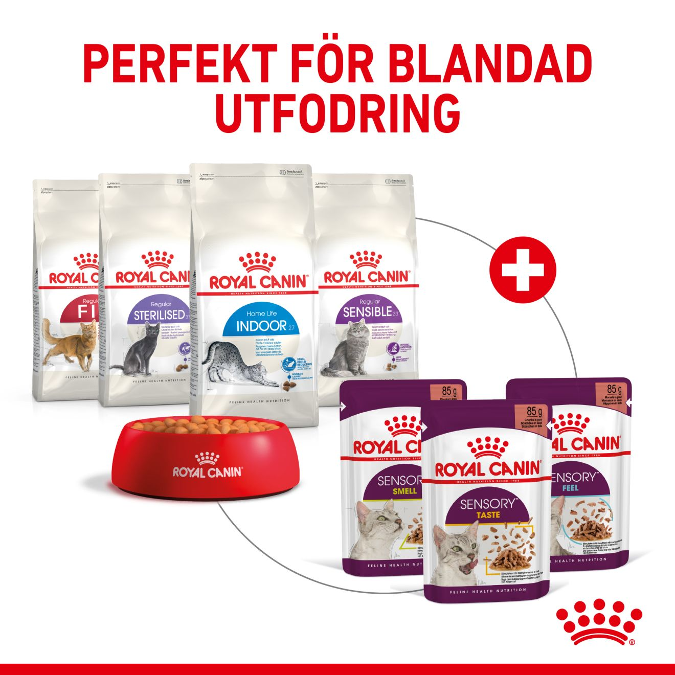 Royal Canin Sensory Smell Gravy Adult Våtfoder för katt