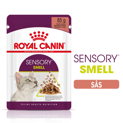 Royal Canin Sensory Smell Gravy Adult Våtfoder för katt