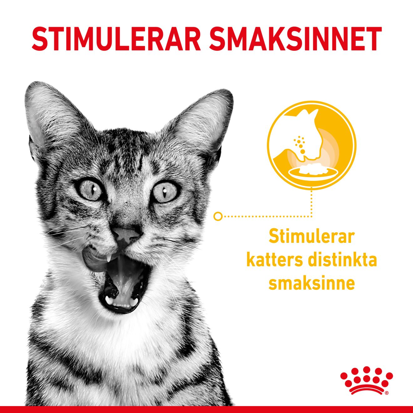 Royal Canin Sensory Taste Gravy Adult Våtfoder för katt