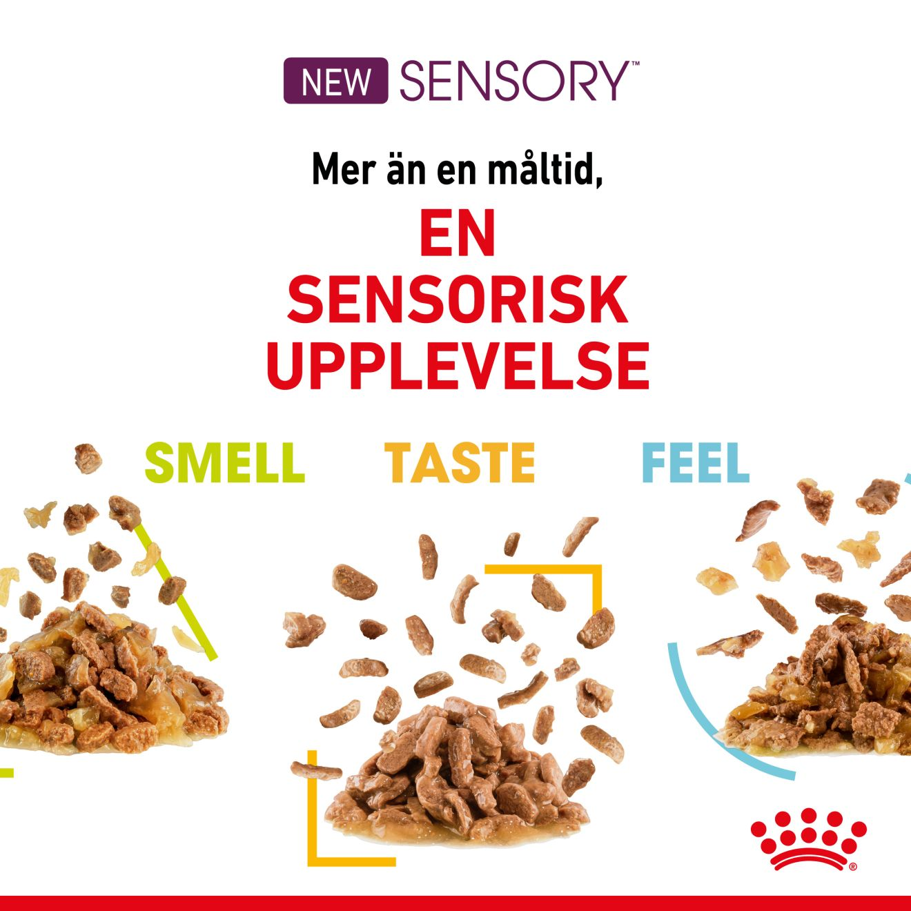 Royal Canin Sensory Taste Gravy Adult Våtfoder för katt