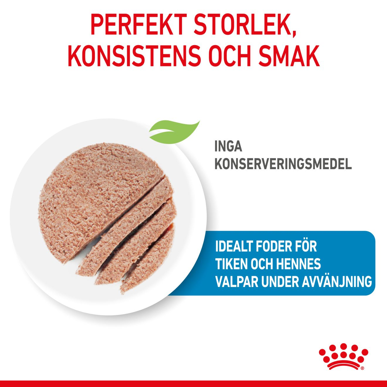 Royal Canin Starter Mousse Våtfoder för hundvalp