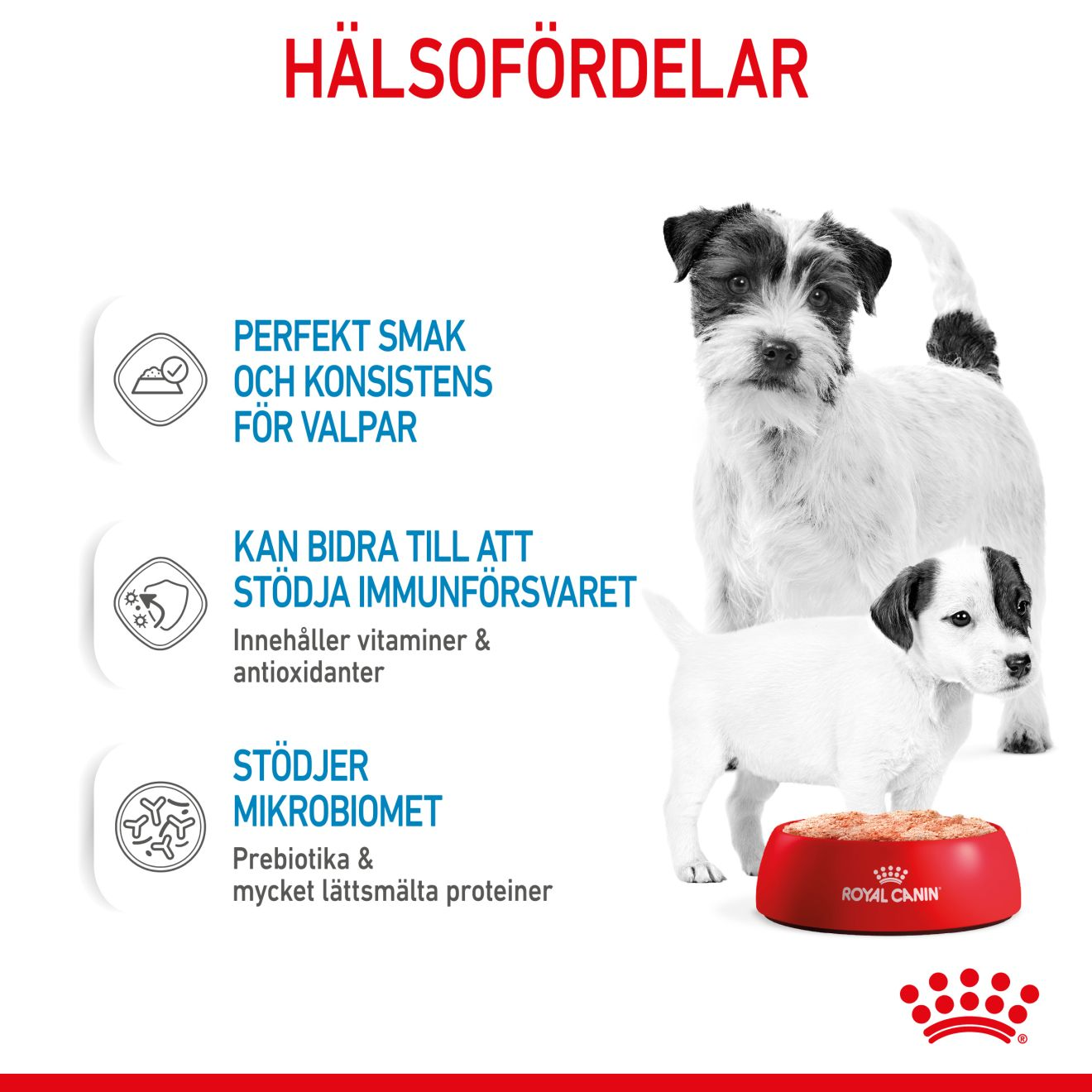 Royal Canin Starter Mousse Våtfoder för hundvalp