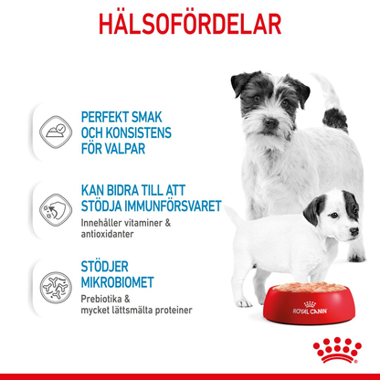 Royal Canin Starter Mousse Våtfoder för hundvalp