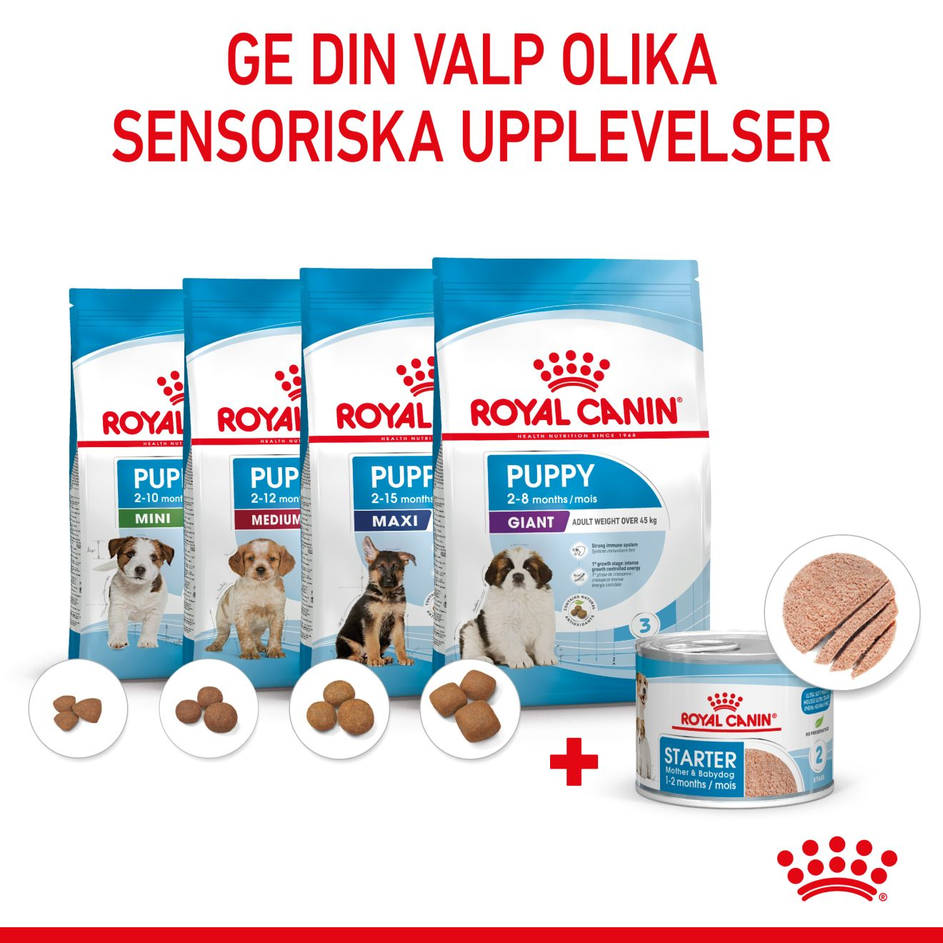 Royal Canin Starter Mousse Våtfoder för hundvalp