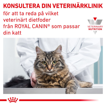 Royal Canin Veterinary Diets Weight Management Satiety torrfoder för katt