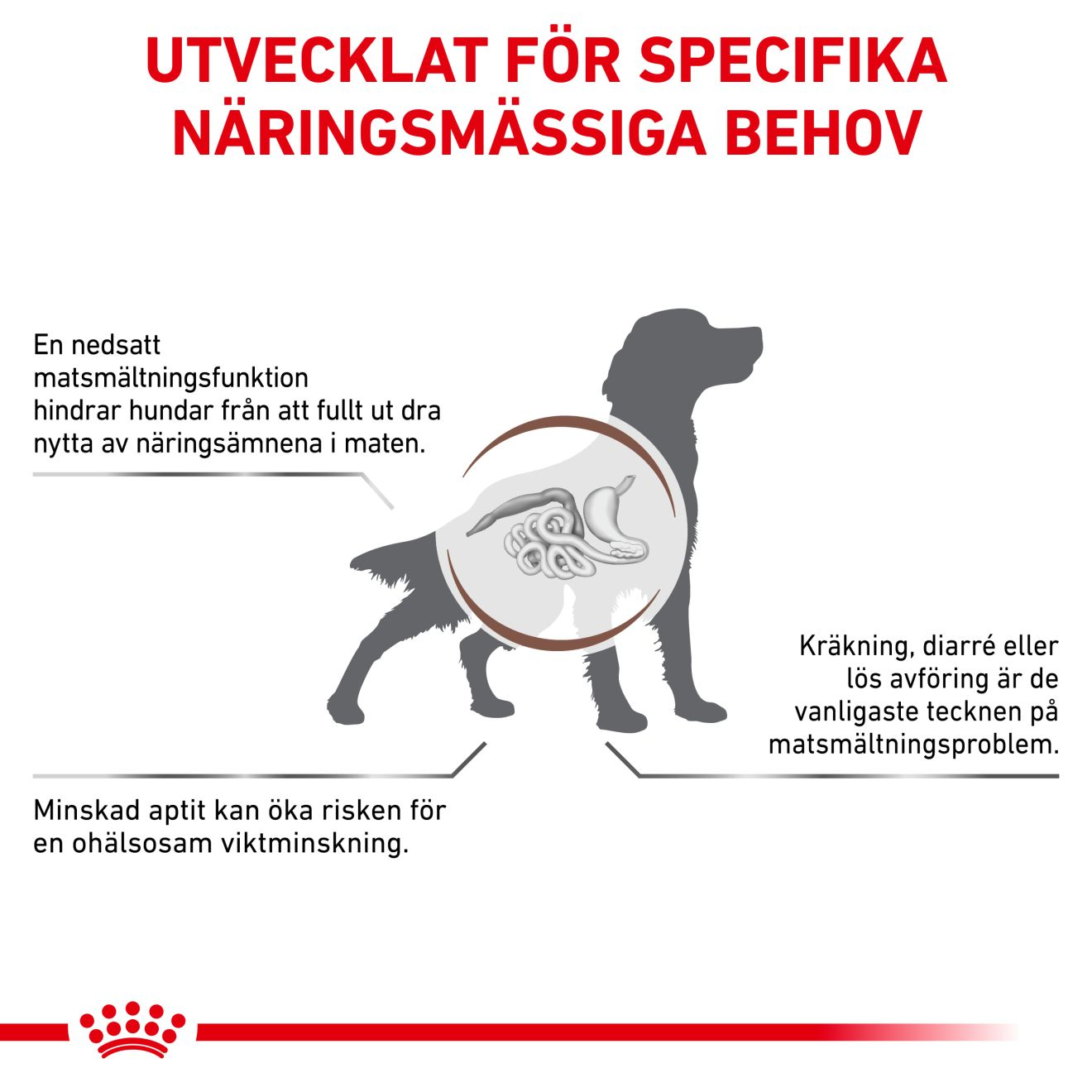 Royal Canin Veterinary Diets Gastro Intestinal torrfoder för hund