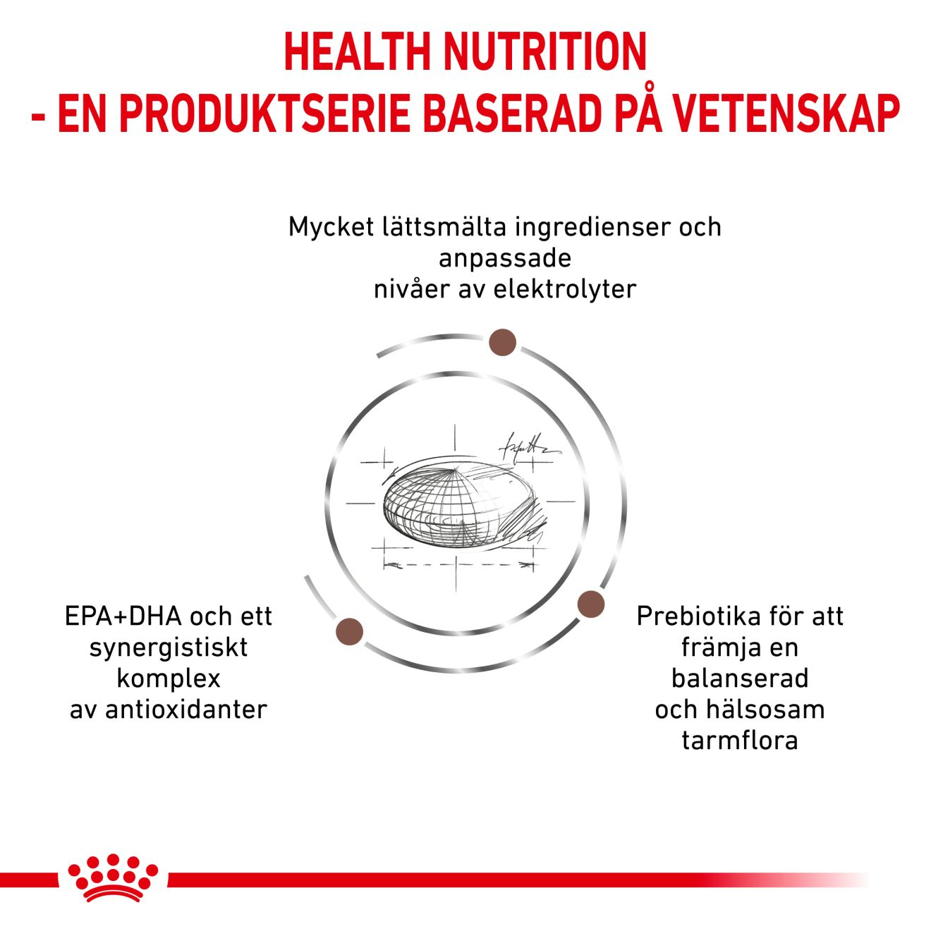 Royal Canin Veterinary Diets Gastro Intestinal torrfoder för hund
