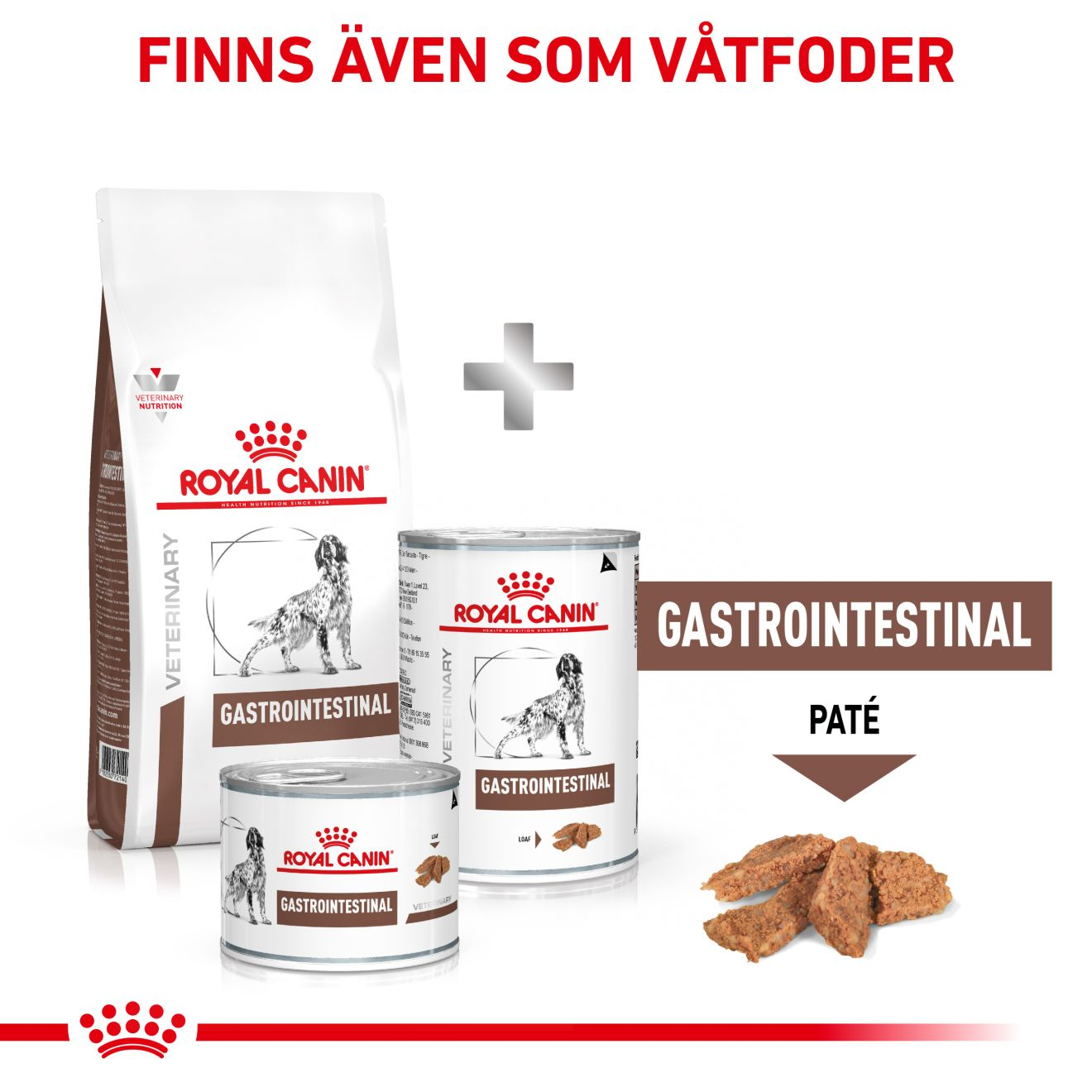 Royal Canin Veterinary Diets Gastro Intestinal torrfoder för hund