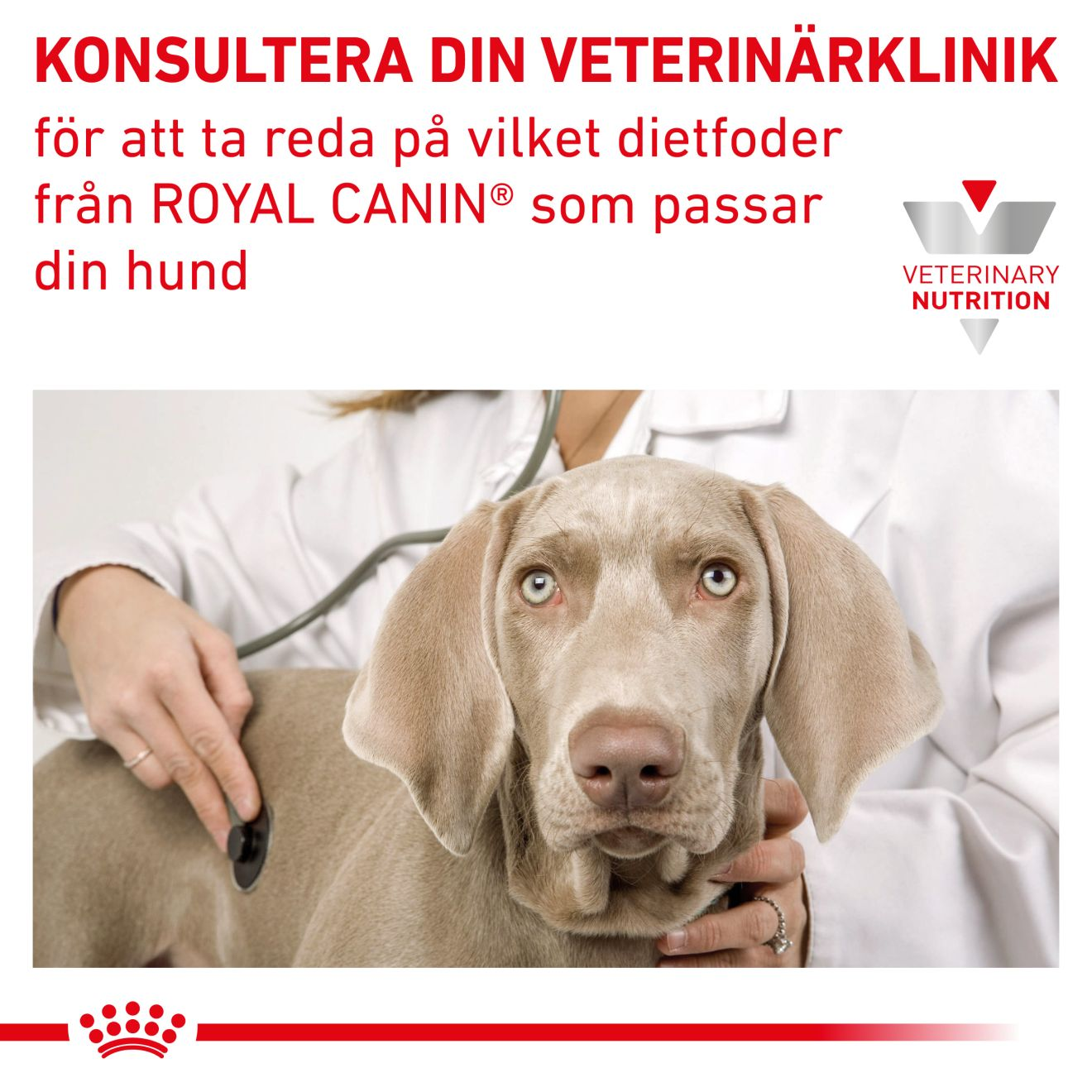 Royal Canin Veterinary Diets Gastro Intestinal torrfoder för hund