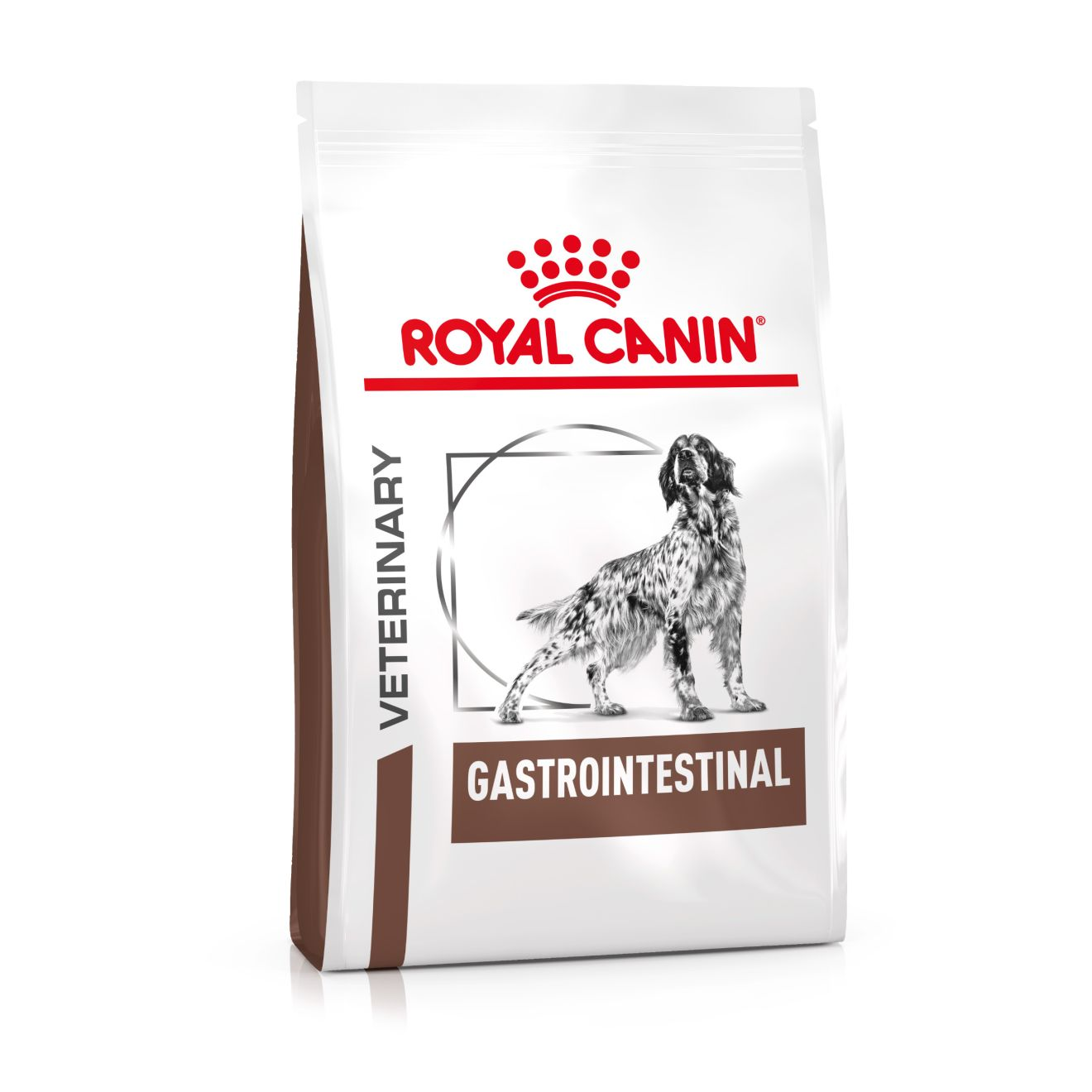 Royal Canin Veterinary Diets Gastro Intestinal torrfoder för hund