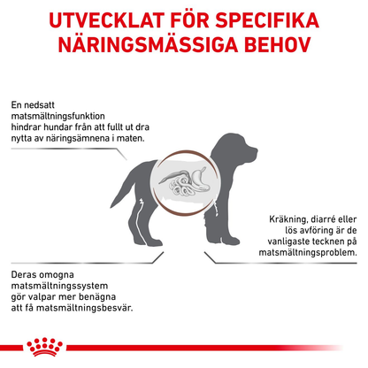 Royal Canin Veterinary Diets Gastro Intestinal Puppy torrfoder för hund