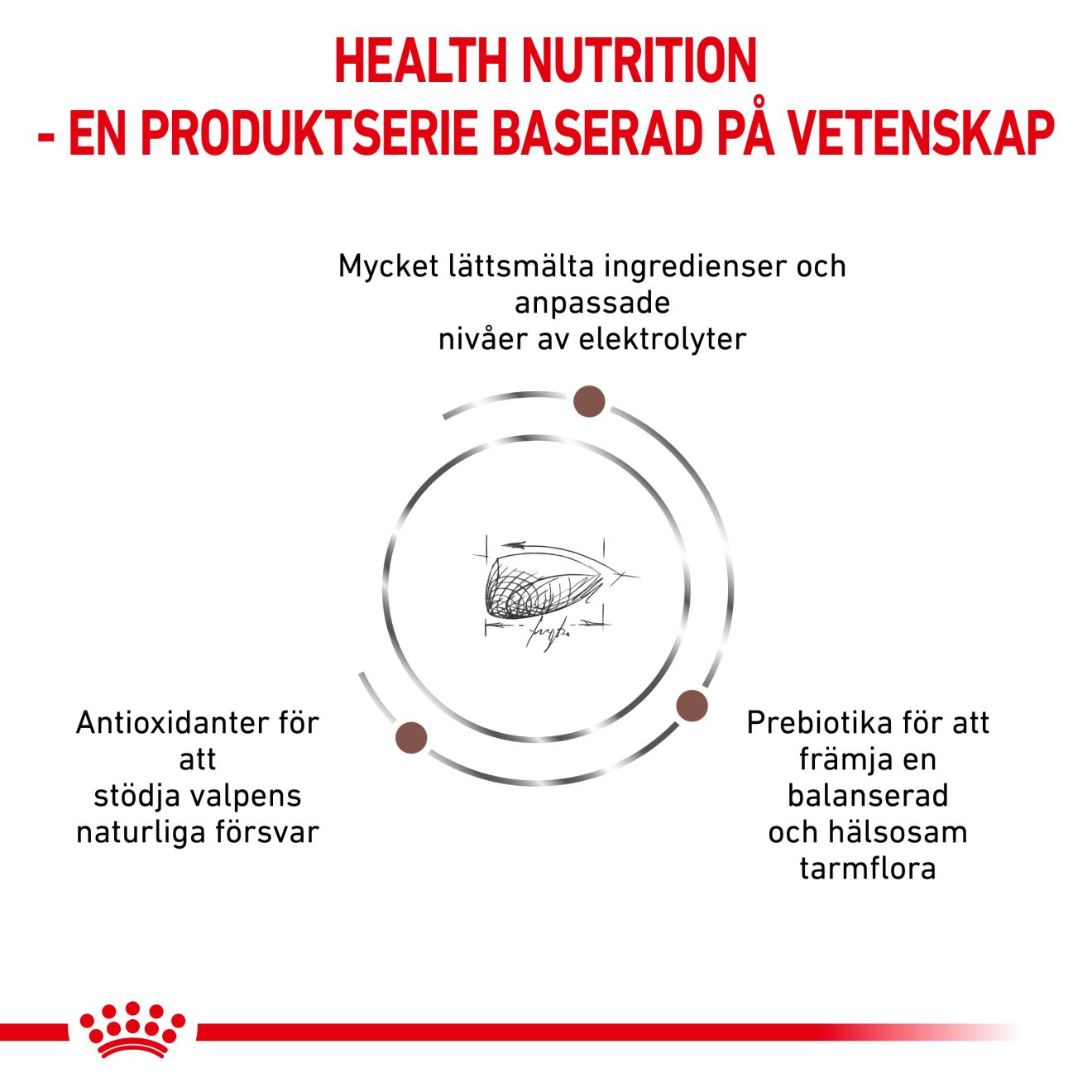 Royal Canin Veterinary Diets Gastro Intestinal Puppy torrfoder för hund