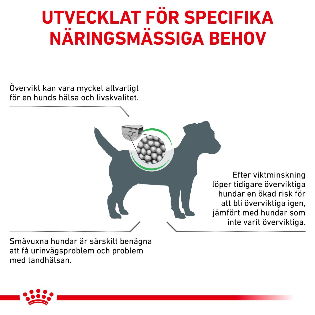 Royal Canin Veterinary Diets Weight Management Satiety Small Dog torrfoder för hund