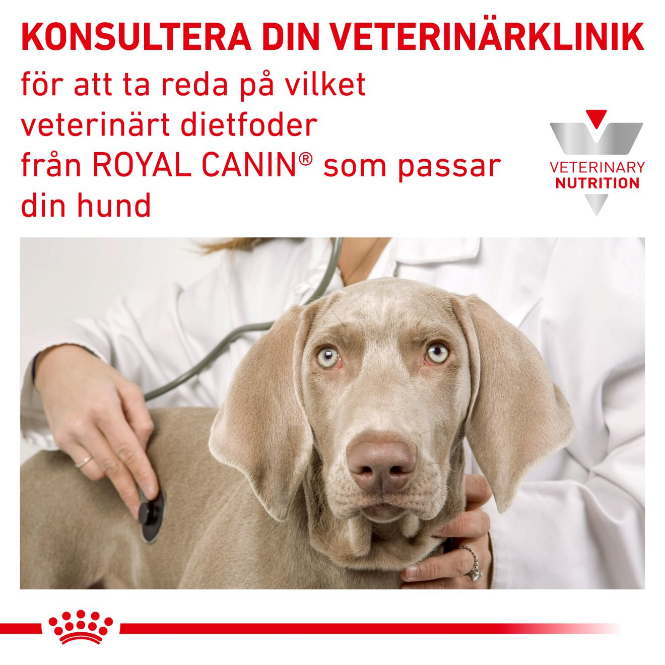Royal Canin Veterinary Diets Weight Management Satiety Small Dog torrfoder för hund