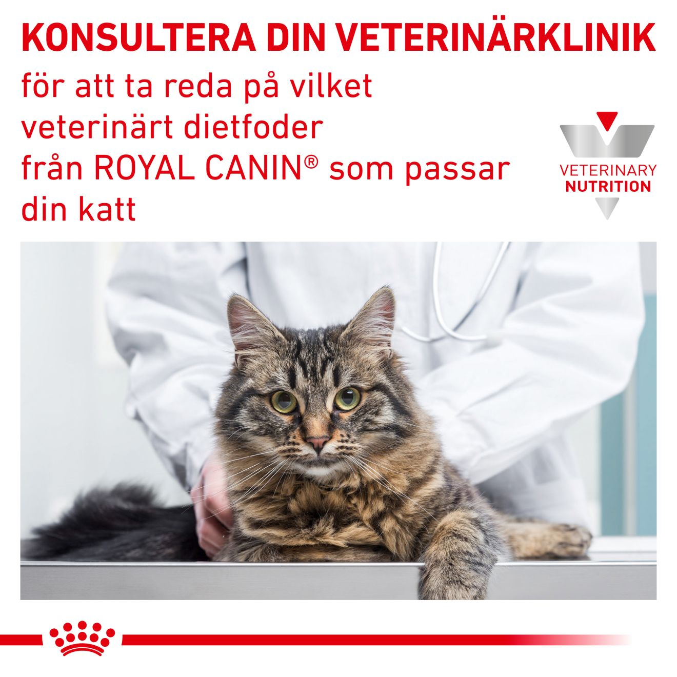 Royal Canin Veterinary Diets Weight Management Diabetic Slices In Gravy Pouch 12x85g våtfoder för katt