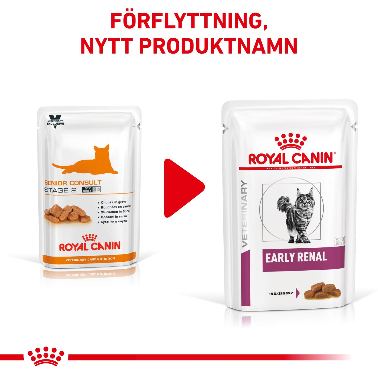 Royal Canin Veterinary Diets Vital Early Renal våtfoder för katt