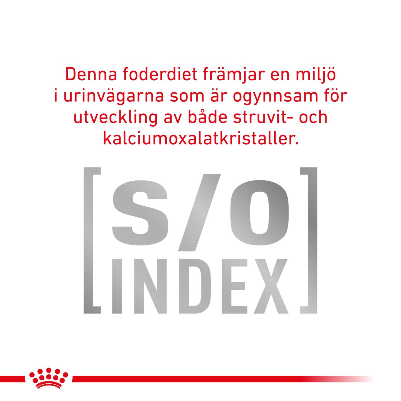 Royal Canin Veterinary Diets Vital Early Renal våtfoder för katt