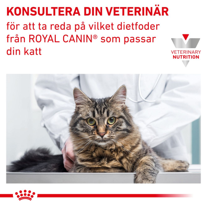 Royal Canin Veterinary Diets Vital Early Renal våtfoder för katt