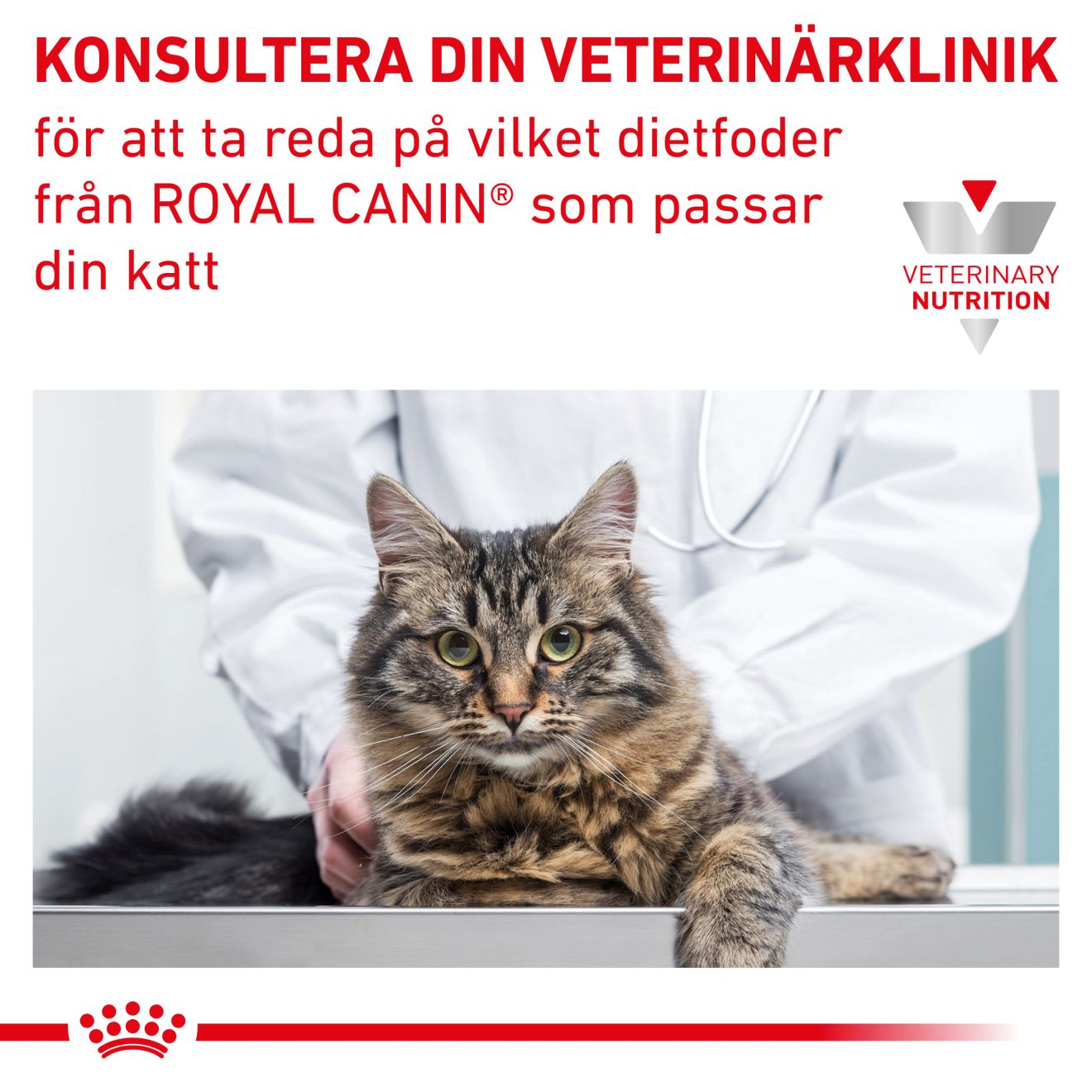 Royal Canin Veterinary Diets Gastro Intestinal Moderate Calorie Slices In Gravy 12x85g våtfoder för katt