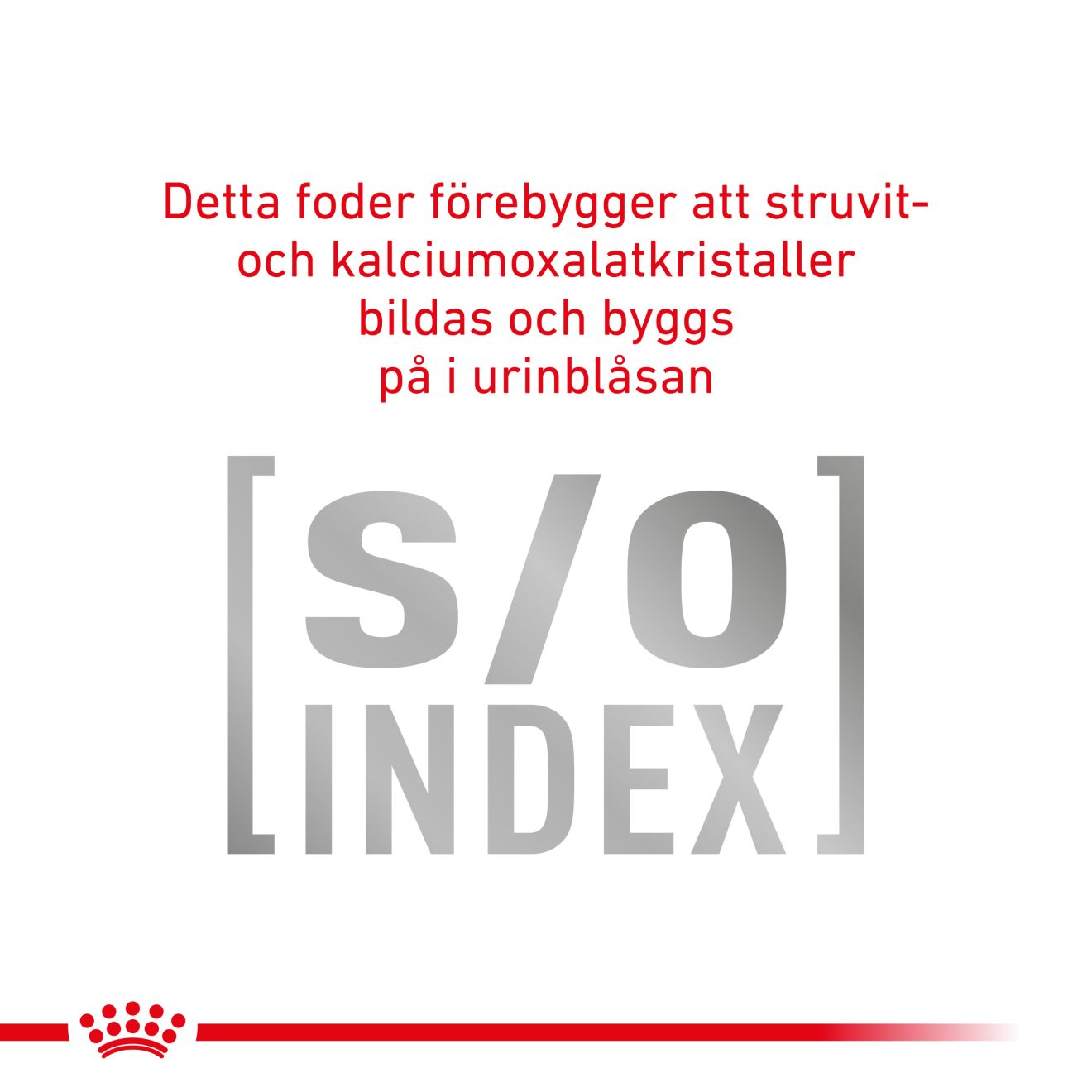 Royal Canin Veterinary Diets Gastro Intestinal Thin Slices In Gravy 12x85g våtfoder för katt