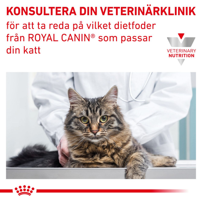Royal Canin Veterinary Diets Gastro Intestinal Thin Slices In Gravy 12x85g våtfoder för katt