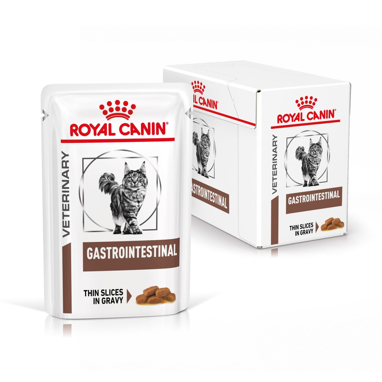 Royal Canin Veterinary Diets Gastro Intestinal Thin Slices In Gravy 12x85g våtfoder för katt