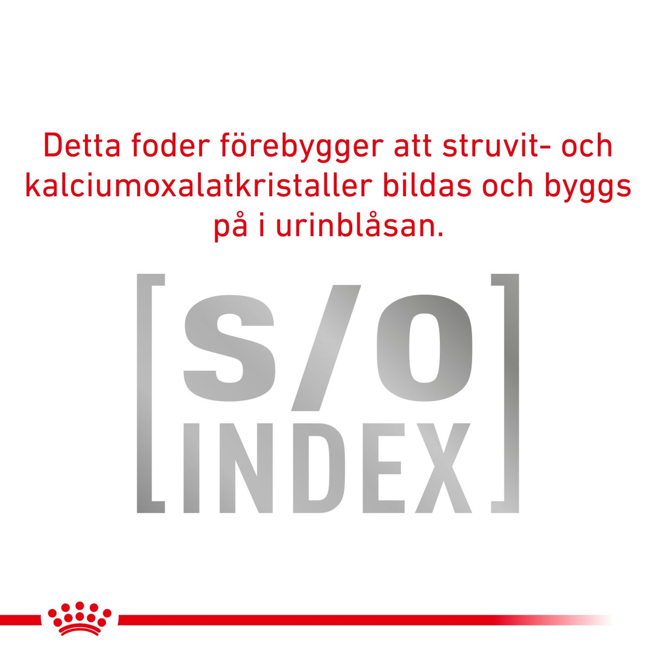 Royal Canin Veterinary Diets Derma Skin & Coat Pouch 12x85g våtfoder för katt