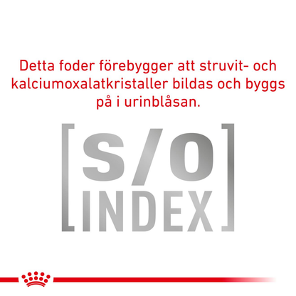 Royal Canin Veterinary Diets Derma Skin & Coat Pouch 12x85g våtfoder för katt