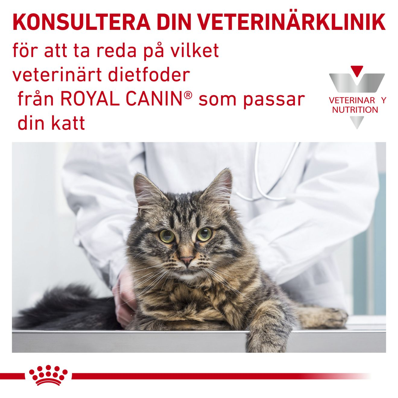 Royal Canin Veterinary Diets Derma Skin & Coat Pouch 12x85g våtfoder för katt