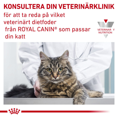 Royal Canin Veterinary Diets Derma Skin & Coat Pouch 12x85g våtfoder för katt