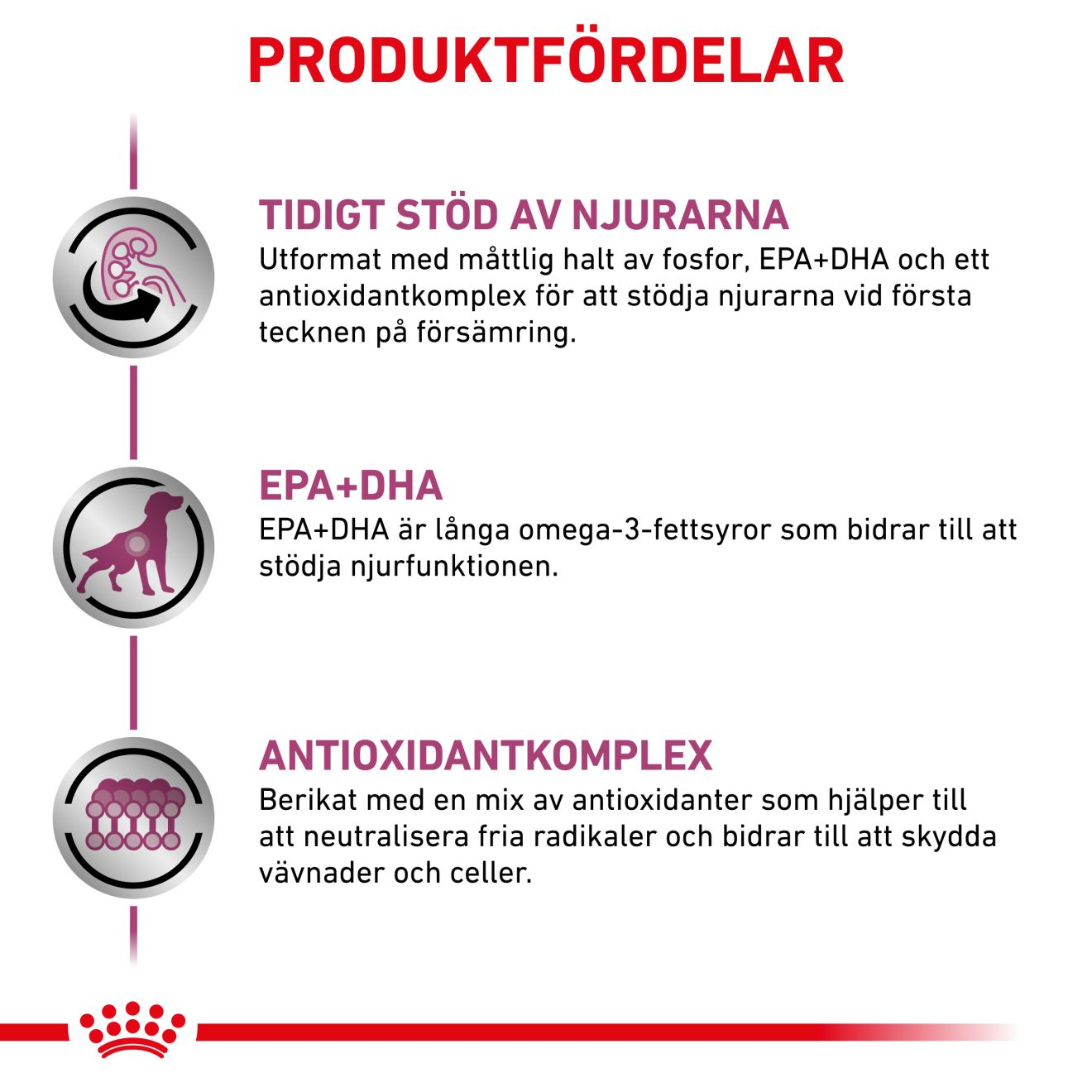 Royal Canin Veterinary Diets Vital Early Renal våtfoder för hund