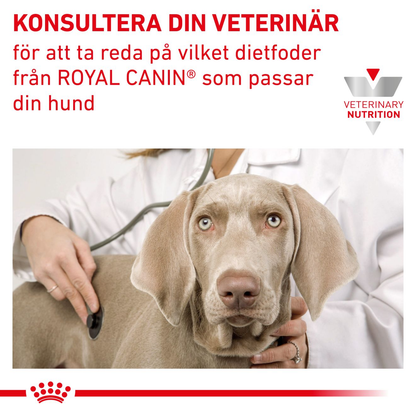 Royal Canin Veterinary Diets Vital Early Renal våtfoder för hund
