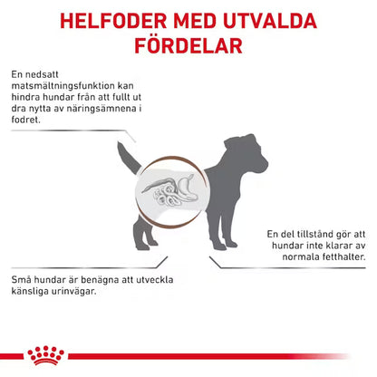 Royal Canin Veterinary Diets Gastrointestinal Low Fat Small Dog