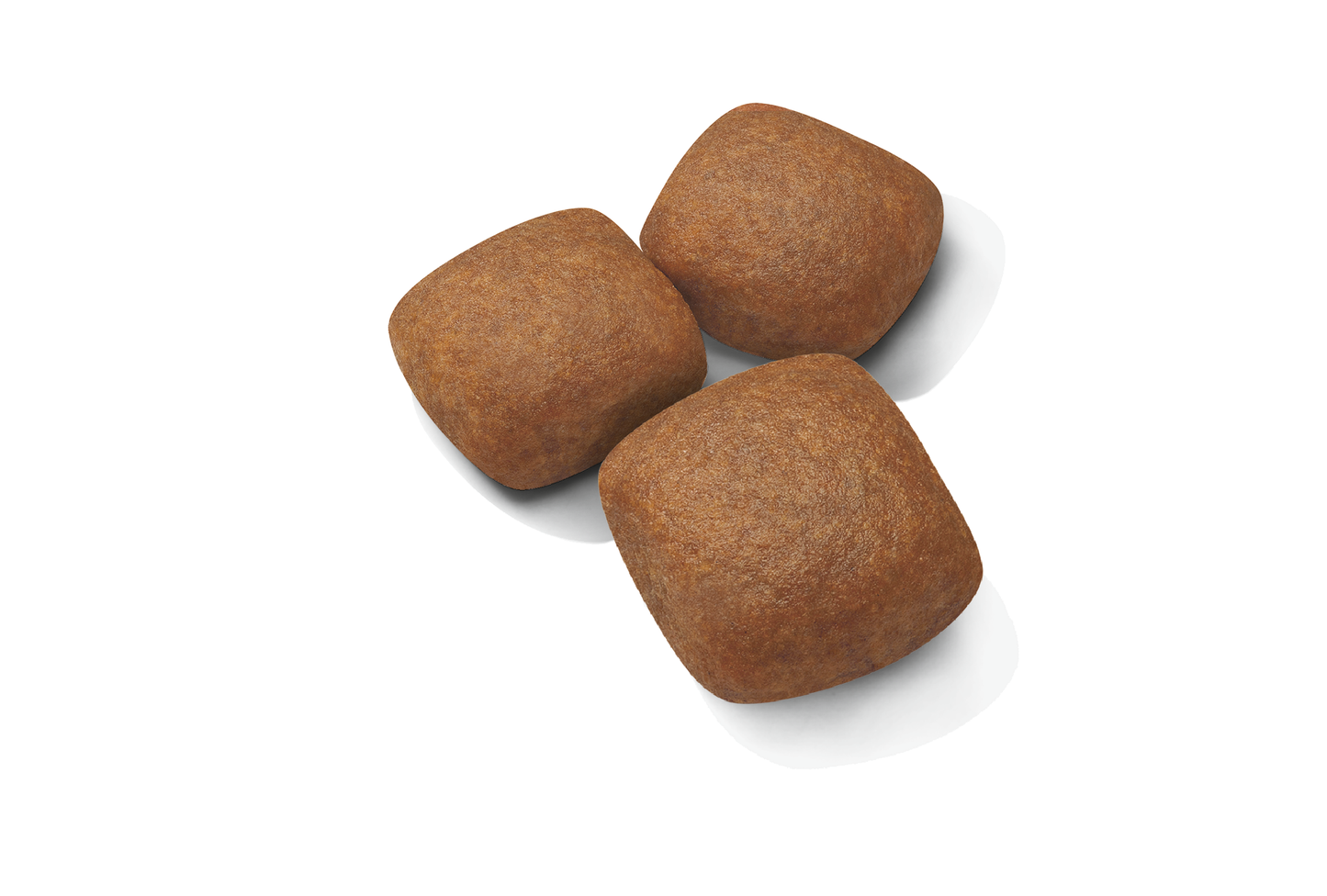 Royal Canin Giant Junior Torrfoder för hundvalp