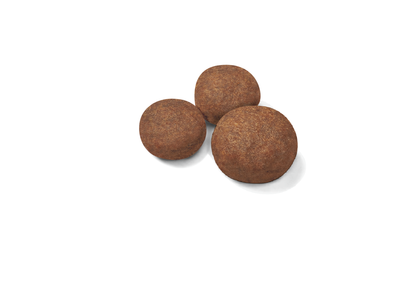 Royal Canin Medium Puppy Torrfoder för hundvalp