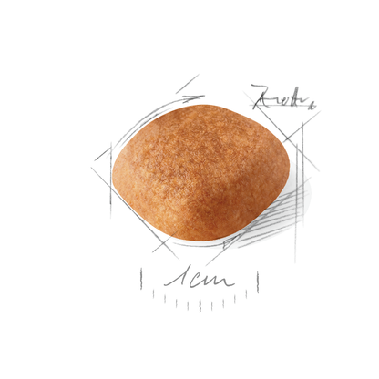 Royal Canin West Highland White Adult Torrfoder för hund