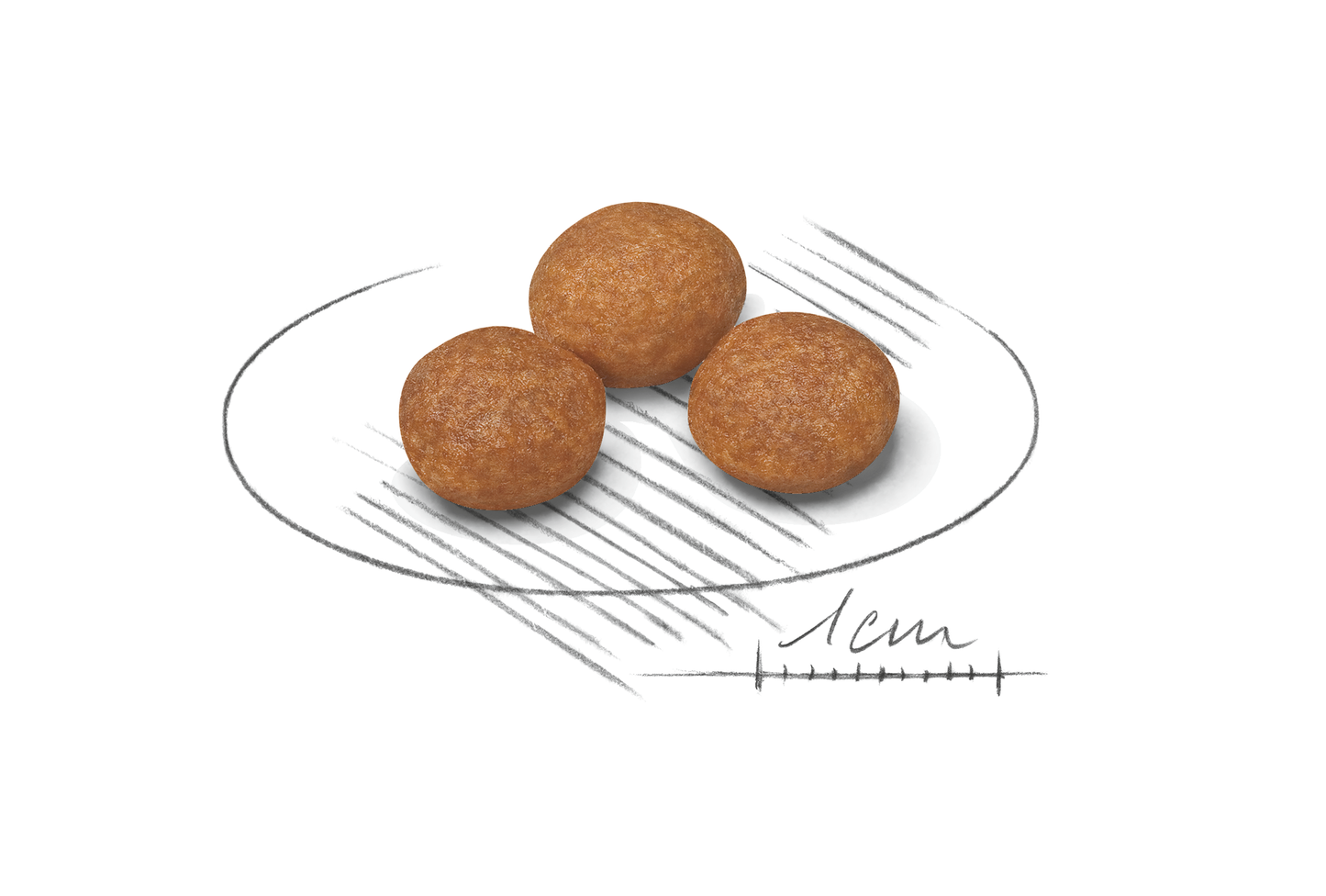 Royal Canin X-SMALL 8+ Adult Torrfoder för hund