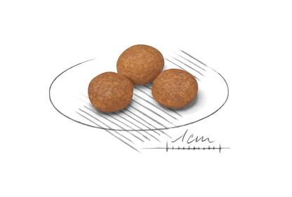 Royal Canin X-SMALL 8+ Adult Torrfoder för hund