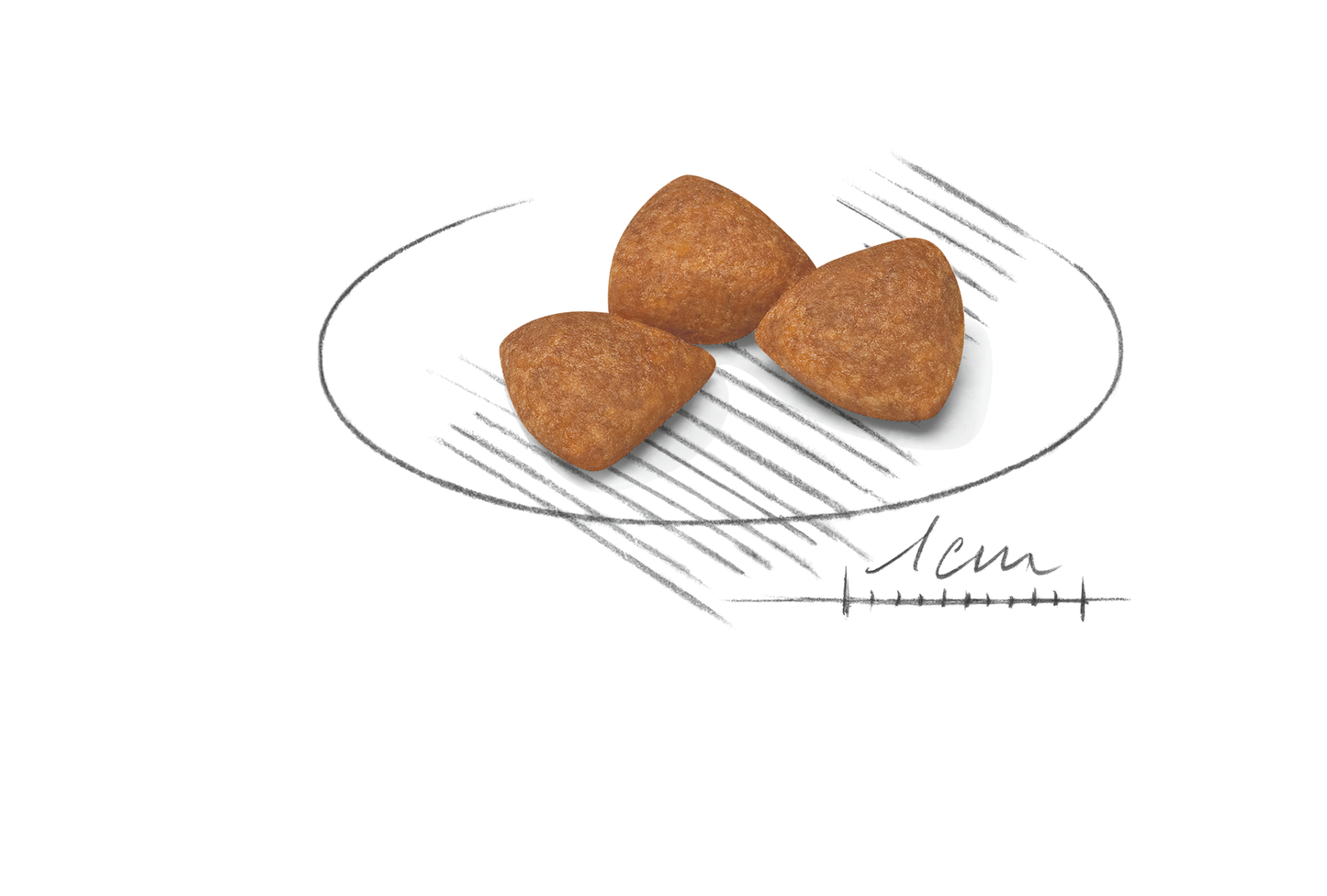 Royal Canin X-SMALL Ageing 12+ Ageing Torrfoder för hund