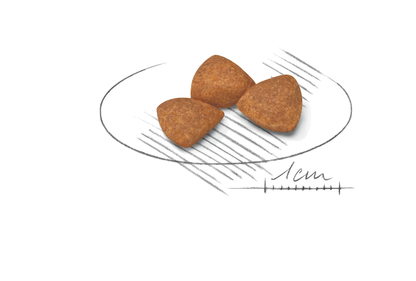 Royal Canin X-SMALL Ageing 12+ Ageing Torrfoder för hund