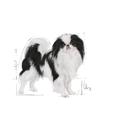 Royal Canin Sterilised X-SMALL Adult Torrfoder för hund